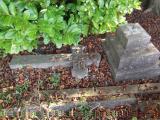 image of grave number 171608